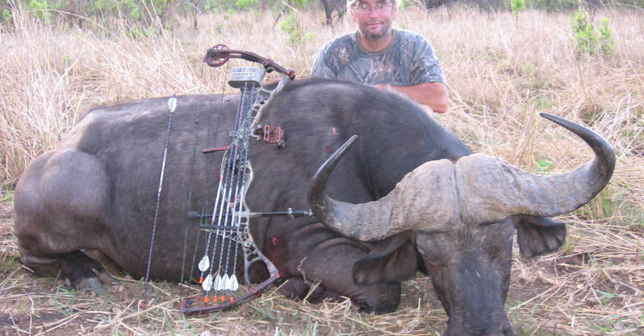 10 day Zambian Buffalo