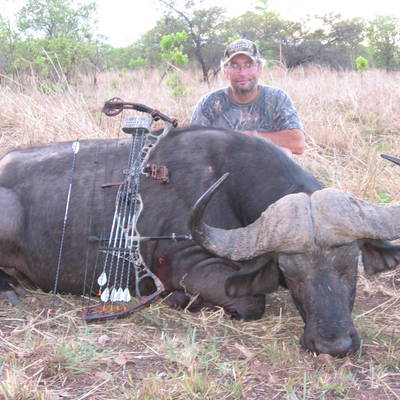10 day Zambian Buffalo