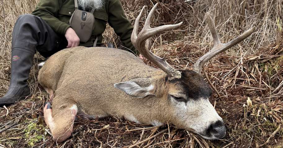Sitka Blacktail deer Rut hunt 2026