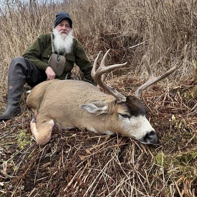 Sitka Blacktail deer Rut hunt 2026