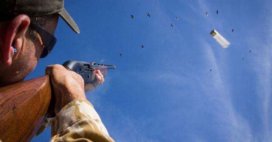 Pigeon Shooting in La Pampa