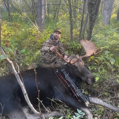 9 Day Bow Moose Hunt