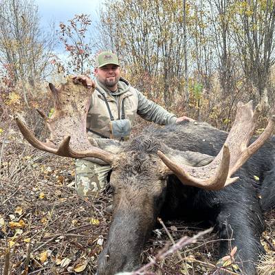 2028 Alberta Moose Hunt