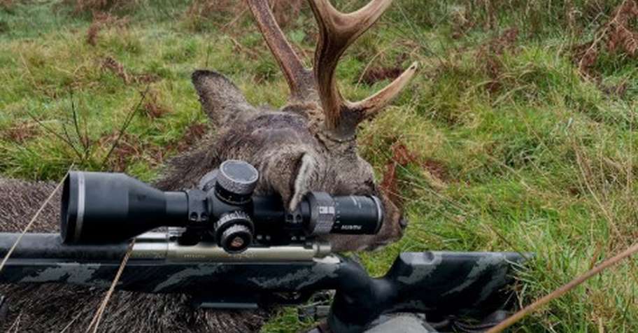 3 Days Sika and Red deer Hunt