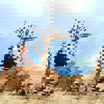 NZ Red Stag Roar dates come available