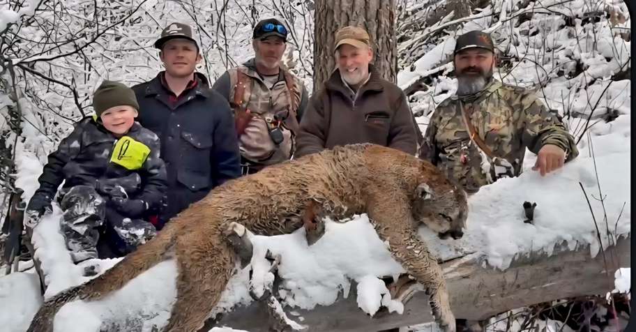 Mointain Lion Hunt, 27