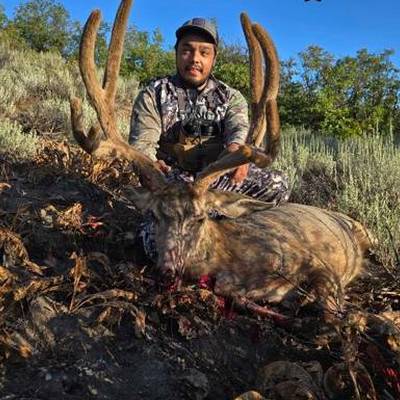 Archery Mule Deer Hunt 5 Days '26