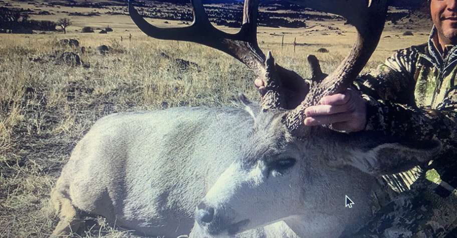 4 day mule deer rifle outfitted