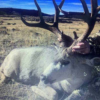 4 day mule deer rifle outfitted