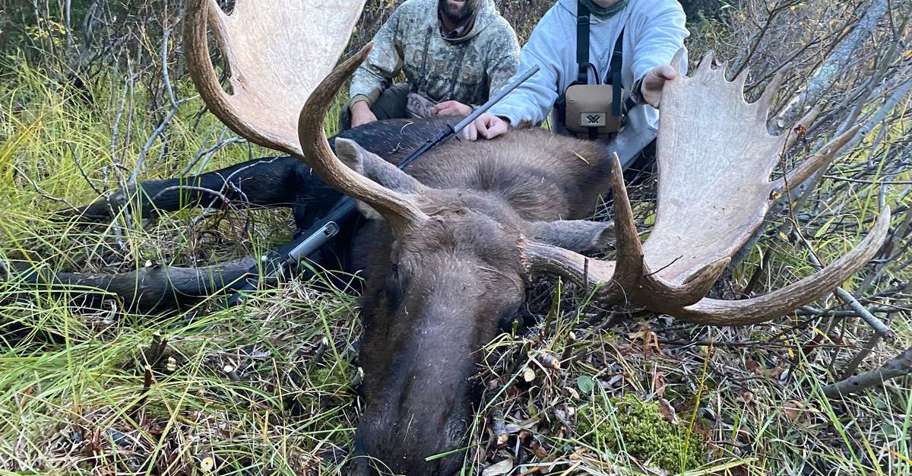 2026 Guided Moose Hunts 2:1