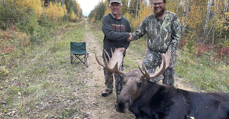 Bow Moose Hunt 1x1 2026