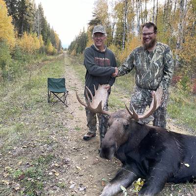 Bow Moose Hunt 1x1 2026