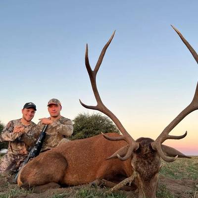 Free Range Red Stag Package