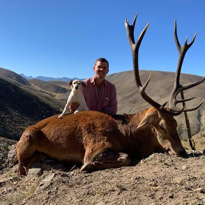 Horse Back Red Stag Hunt