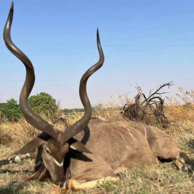 True African Dream