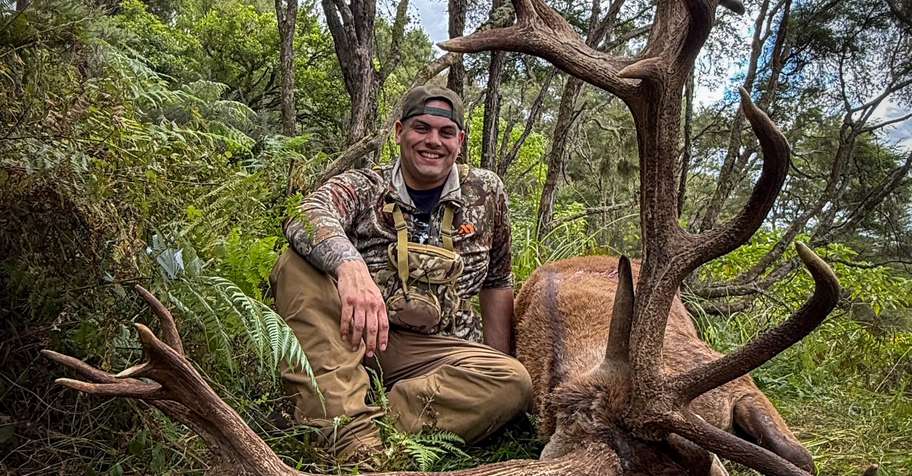 1x Day 400-449" Red Stag Hunt