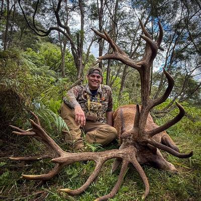 1x Day 400-449" Red Stag Hunt
