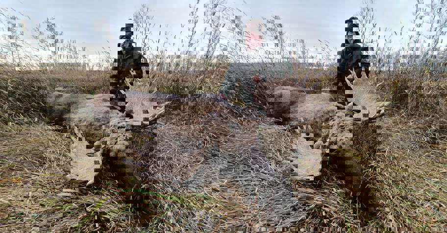 Combined Fall hunting / September