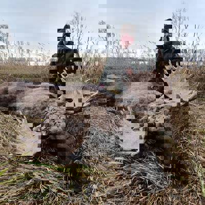 Combined Fall hunting / September