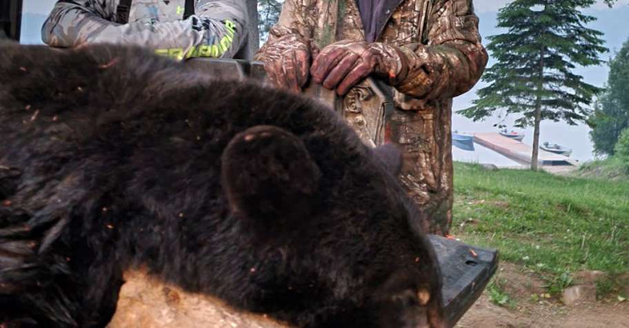 Spring Bear Hunt 2027