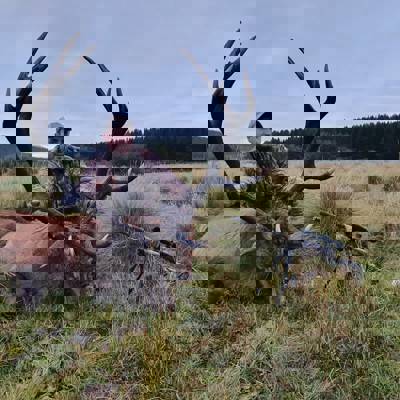 Patagonia Red Stag Lodge Experience