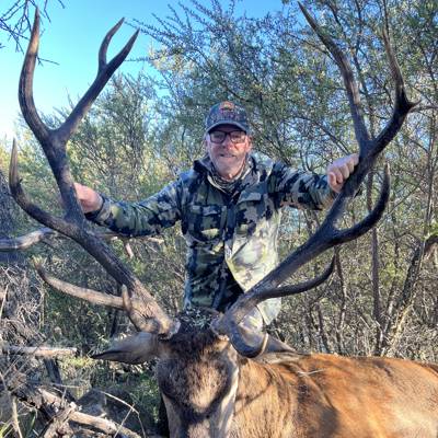 Wild Red Deer Adventure 2027