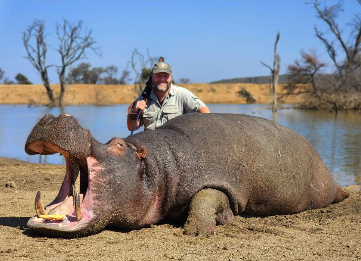 Hippo Hunting 2024 / Лимпопо, Южно-Африканская Республика - BookYourHunt.com