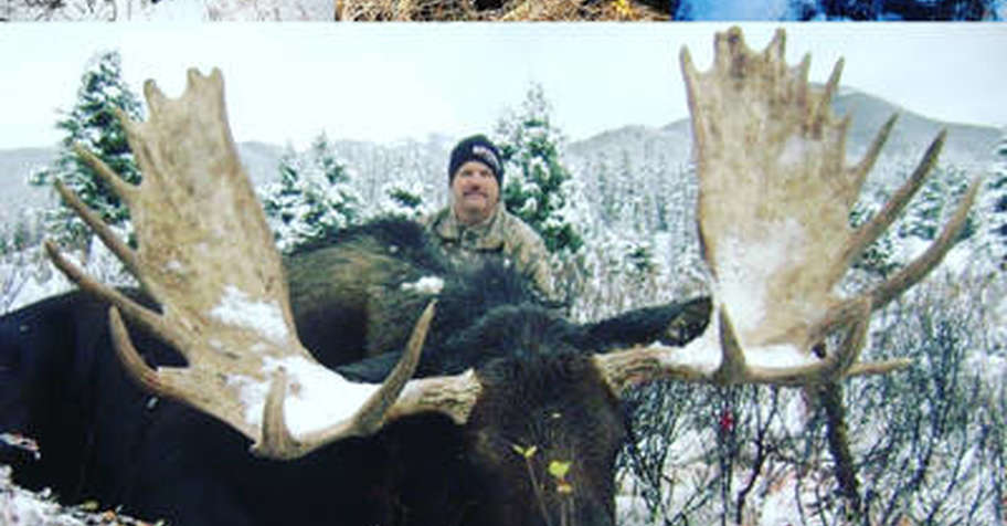 6 Day Rifle Late Season Moose 1x1 '26