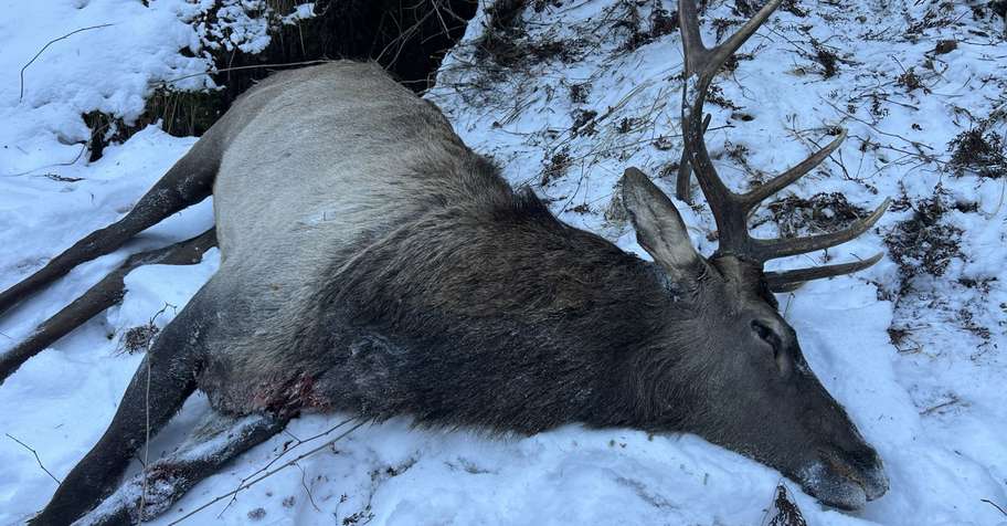 Autumn&Winter deer hunting in Kachug