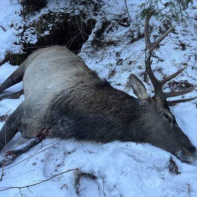 Autumn&Winter deer hunting in Kachug