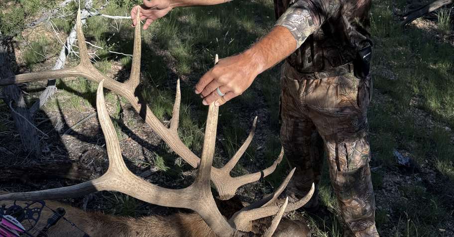 late season archery or muzz guided ELK