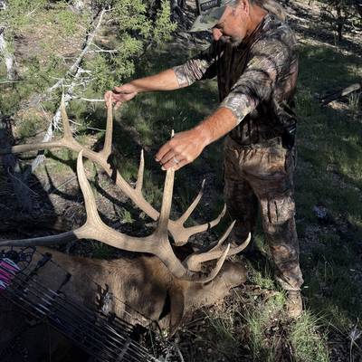 late season archery or muzz guided ELK