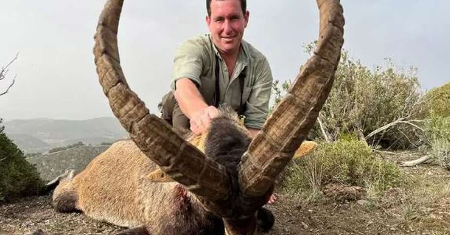 BYH Only! Ronda ibex & Southeastern ibex