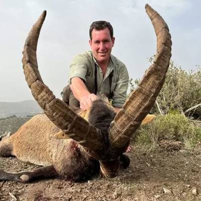 BYH Only! Ronda ibex & Southeastern ibex