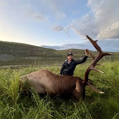 Archery Elk in the Rut '27