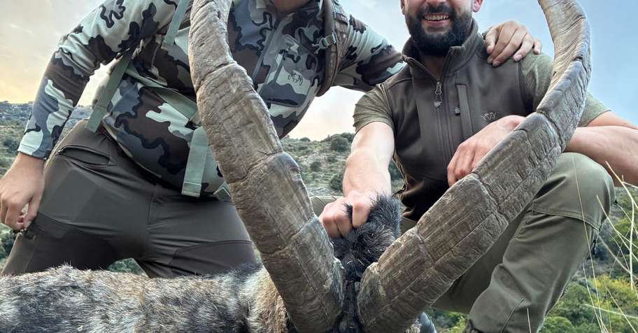 Southeastern Ibex without point limit