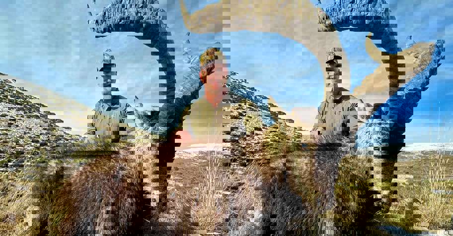 GREDOS IBEX CANCELLATION HUNT