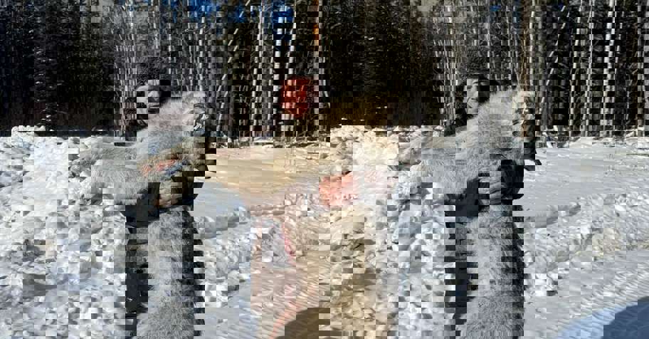 LAST minute WOLF Hunt