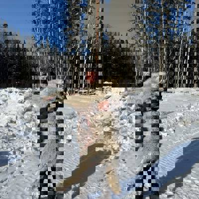 LAST minute WOLF Hunt