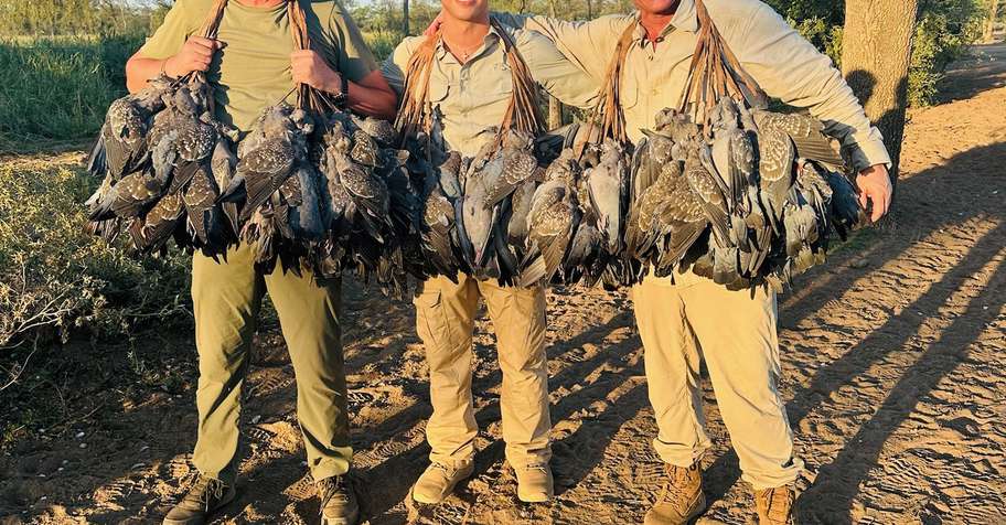 2-Day Dove & 2 Day Pigeons - 2 Hunters