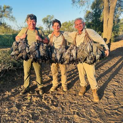 2-Day Dove & 2 Day Pigeons - 2 Hunters