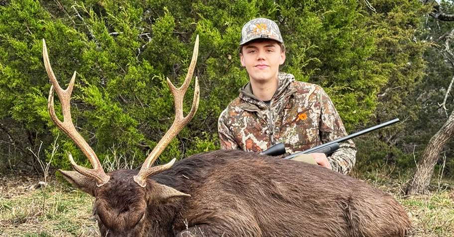 Sika Deer Hunt