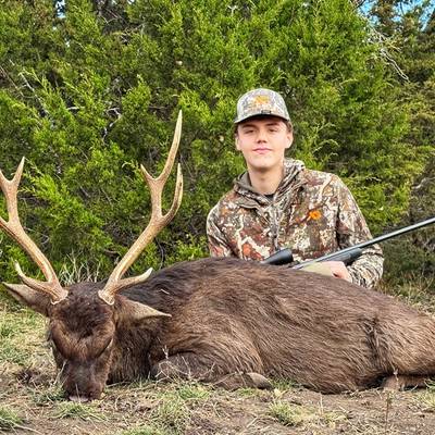 Sika Deer Hunt