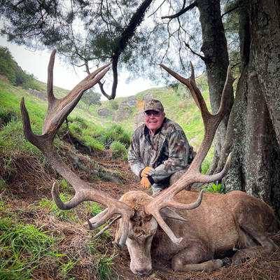 Multi Day, 300-349" SCI Red Stag Hunt