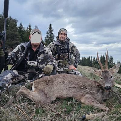 Roe deer hunt Bulgaria