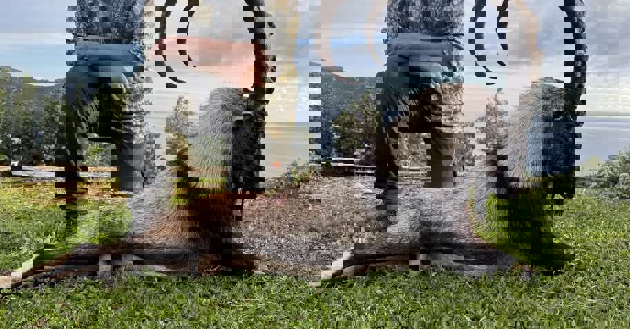 Early booking Kri Kri Ibex Atalanty 2028