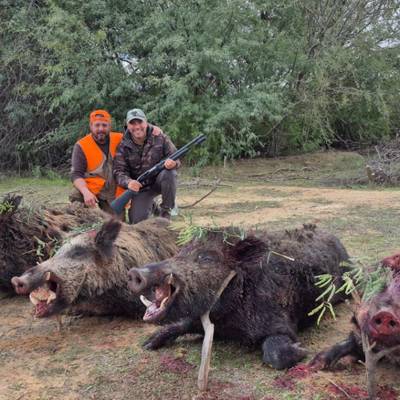 3 Days Wild Boar Hunt