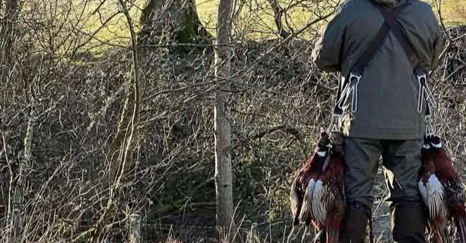 Driven Bird Hunt - 8-10 Hunters