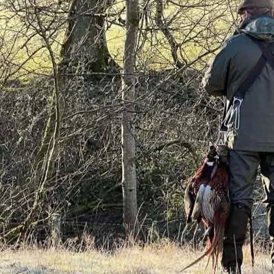 Driven Bird Hunt - 8-10 Hunters
