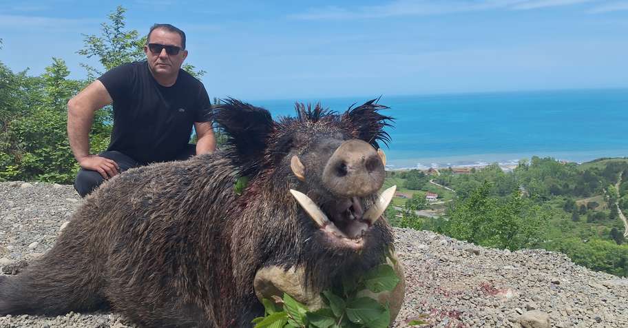 Wild Boar Bow Hunt (Black Sea)